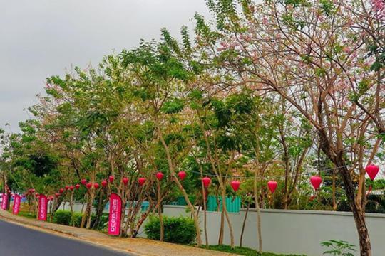 Lovely Room Oceanami Resort Long Hai Exterior foto